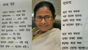 ৯৪৬টি কবিতা নিয়ে মমতার 'কবিতাবিতান', একরাতেই ২টি NRC বই ছাপার সিদ্ধান্ত      