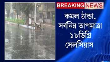 Rain spoils Saraswati puja likely splash in West Bengal till friday