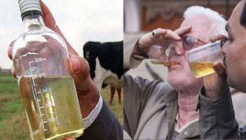 গোমূত্র-গোবরের দোকান খুলে ব্যবসা ডানকুনিতে, খবর চাউর হতেই আটক মামুদ