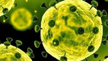 রাজ্যে একের পর এক থাবা বসাচ্ছে করোনা, উত্তরবঙ্গে ১ ব্যক্তির শরীরে মিলল সংক্রমণ