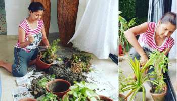 লকডাউনে গাছের পরিচর্যায় ব্যস্ত রচনা বন্দ্যোপাধ্যায়