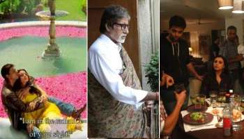 &#039;বীরজারা&#039;, &#039;ফ্যান&#039; সহ বলিউডে বেশকিছু ছবির শ্যুটিং হয়েছে তারকাদের বাড়িতেই