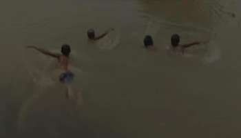 Lesser Pollution- wildlife finds peace as human beings stay at home