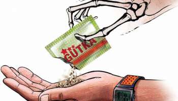 শুধু ক্যান্সার নয়, গুটকা, খৈনির মতো তামাকজাত দ্রব্যগুলিও বাড়ায় প্রাণঘাতী স্ট্রোকের ঝুঁকি!