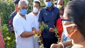 বিশ্ব পরিবেশ দিবসে  'ছক্কা  হাঁকালেন' দিলীপ ঘোষ, কলকাতার রাস্তায় ঘুরে রোপণ করলেন গাছ