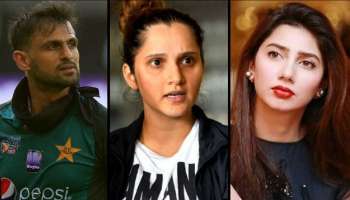 শাহরুখ খানের নায়িকার সঙ্গে ফ্লার্ট করছেন শোয়েব মালিক! সানিয়া বললেন, সবই দেখছি আমি