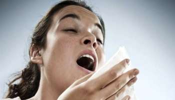 ডাস্ট অ্যালার্জিতে নাজেহাল! কড়া কড়া ওষুধ না খেয়ে কাজে লাগান এই ৪টি অব্যর্থ ঘরোয়া টোটকা