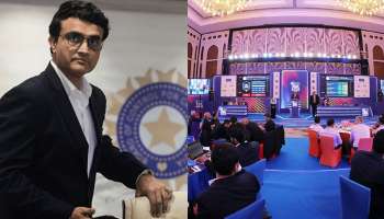 বড়সড় সিদ্ধান্ত সৌরভের বোর্ডের, এবার উঠে যাচ্ছে IPL-এর নিলাম!