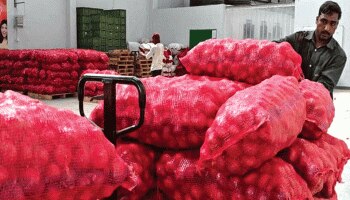 ইলিশের পাল্টা উপহার! বাংলাদেশিদের পাতে স্বাদ ফেরাতে ২৫,০০০ টন পেঁয়াজ পাঠাচ্ছে ভারত