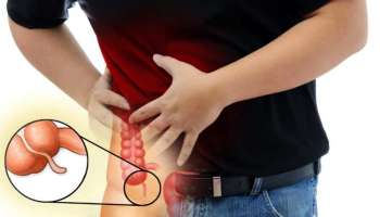 পেটের কোন ব্যথা অ্যাপেনডিসাইটিসের, চিনে নিন বিপজ্জনক লক্ষণগুলি!