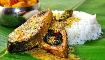 পাতে রোজ মাছ পড়লেই সুখী? শুধু রসনার তৃপ্তি নয়, মাছে কমে হার্ট অ্যাটাকের ঝুঁকি!