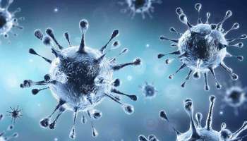 স্বস্তি দিচ্ছে দেশের করোনা চিত্র, কমছে দৈনিক সংক্রমণ, বাড়ছে সুস্থতার হারও