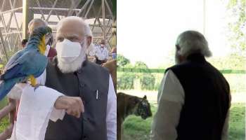 ছবি: জঙ্গল সাফারিতে প্রধানমন্ত্রী, কাছে চলে এল রয়্যাল বেঙ্গল টাইগার  