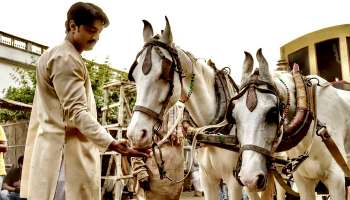 'গোলন্দাজ'-এর শ্যুটিংয়ে নগেন্দ্রপ্রসাদ সর্বাধিকারীর বেশে অন্যরকম মেজাজে দেব