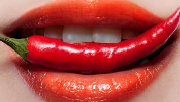 মশলাদার খাবার খেয়ে 'মশলাদার' করে তুলুন যৌনজীবন