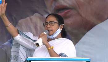 রাজীব-শুভেন্দুকে 'মায়ের কুসন্তান', 'দুষ্টু গরু' তোপ মমতার