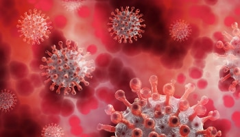 Corona Update: দেশে একদিনে সর্বোচ্চ মৃত্যু, আক্রান্তের সংখাাও বেড়ে আড়াই লাখ ছুঁইছুঁই