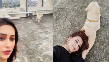 'একবার আয়', সন্তানসম চিকুকে হারিয়ে আবেগঘন পোস্ট Mimi এর