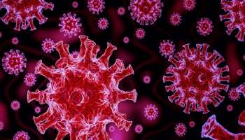 করোনার আলফা,ডেল্টা,বিটা,গামা ভেরিয়েন্ট দমনে সিদ্ধহস্ত Covishield, Covaxin