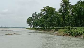 ভেঙে গেল নদীবাঁধ, ক্ষতি চা-বাগান এবং কৃষিজমির