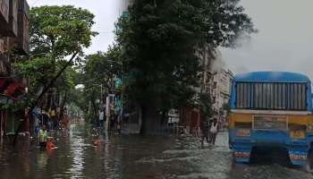 Waterlog Kolkata: ঘূর্ণাবর্তের জেরে ভাসছে মহানগর, উত্তর থেকে দক্ষিণ নাজেহাল মানুষ