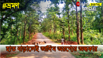 #ভ্রমণ: হাত বাড়ালেই আদিম অরণ্যের অন্ধকার