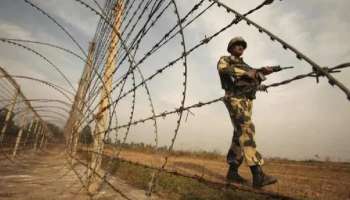 রাতের অন্ধকারে গরু পাচার! সিতাই সীমান্তে BSF-এর গুলিতে নিহত ২ 