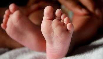  Malda: দাবি মতো টাকা মেলেনি, বৃহন্নলার 'জুলুমবাজি'তে প্রাণ গেল সদ্যোজাতের