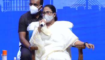 দুয়ারে হাঁসের পালক, কাশফুল থেকে বালিশ তৈরির 'আইডিয়া' দিলেন Mamata    