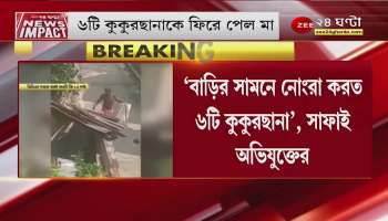 News Impact: Six puppies rescued in Liluah, finally rescued after zee 24 ghanta news