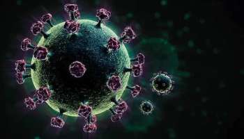 Covid variant Omicron: করোনার নতুন প্রজাতি 'ওমিক্রন'কে  উদ্বেগজনক ঘোষণা বিশ্ব স্বাস্থ্য সংস্থার