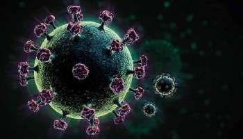 জয়পুরে Omicron আক্রান্ত একই পরিবারের ৯ সদস্য, লাফিয়ে লাফিয়ে বাড়ছে সংক্রমণ