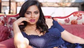 Arshi Khan: নগ্ন হয়ে সাংবাদিক সম্মেলন থেকে Salman-র সঙ্গে বিবাদ, ফের বিতর্কে আরশি খান