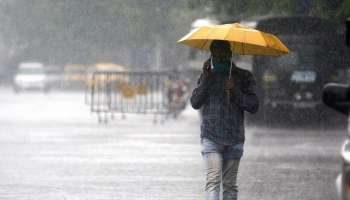 Weather Update: জাঁকিয়ে শীত নয়, চলতি সপ্তাহেই ফের বৃষ্টির পূর্বাভাস