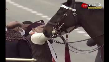 After a long career, the President's bodyguard horse 'virat' ​has retire