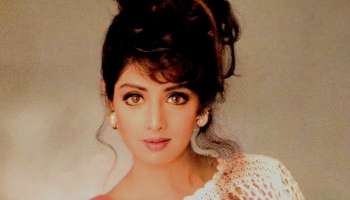 Sridevi Death Anniversary: শ্রীদেবীর 'খুন', ফ্যানেরা মেনে নিতে পারবে তো! অতএব...