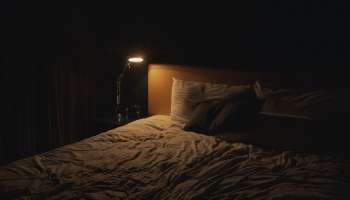 Diamond Harbour: হোটেলের ঘরে ঠাকুমা-নাতনি, বহু ডাকাডাকিতেও মেলেনি সাড়া, দরজা ভাঙতেই 'হাড়হিম' দৃশ্য