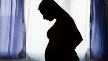 Heatwave: প্রবল গরমের বলি? ৮ মাসের অন্তঃসত্ত্বার অস্বাভাবিক মৃত্যু