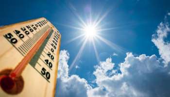 Heatwave: গরমে সানস্ট্রোক? পুকুরে পানা পরিষ্কারের সময় মৃত্যু ব্যক্তির