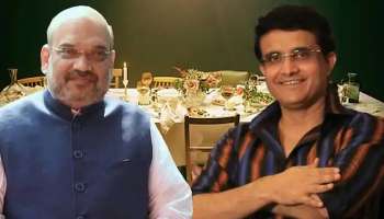 Amit Shah At Sourav Ganguly's House: 'মহারাজ'-এর বাড়িতে স্বরাষ্ট্রমন্ত্রী! একনজরে 'শাহি ভোজ'-এর পূর্ণাঙ্গ মেনু