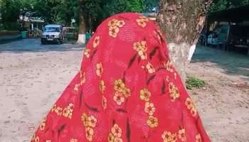 Tufanganj Minor Rape: ইটভাটায় 'প্রেম', নাবালিকাকে 'ধর্ষণ', তুফানগঞ্জে চাঞ্চল্য