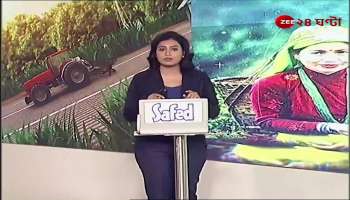 #DistrictPlus South Dinajpur money scam in bragun fruit farming realty check by zee 24 ghanta