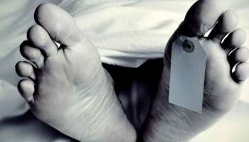  Labour Death: ঘুমন্ত অবস্থায় পিষে দিল লরি! ভিনরাজ্যে ফের মৃত্যু বাংলায় ২ শ্রমিকের