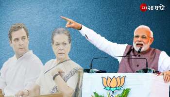 BJP National Executive Meeting: কংগ্রেসকেই মূল প্রতিপক্ষ ধরে তুলোধনা বিজেপির