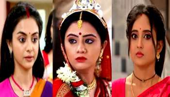 TRP: টিআরপি-র রেটিঙে ফের পিছিয়ে 'মিঠাই', এবারও প্রথম স্থানে 'ধুলোকণা'