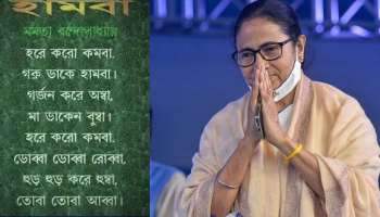 Mamata Banerjee: বাচ্চাদের জন্য কিছু করলে, বাচ্চা সাজতে হবে, মনটাকে বাচ্চার মতো করতে হবে: মমতা