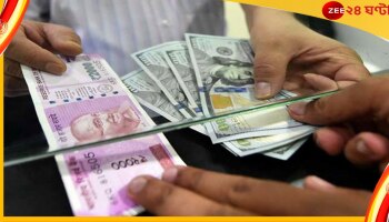 Rupee Depreciation: টাকার দামে রেকর্ড পতন, কী ভাবছেন সাধারণ মানুষ?