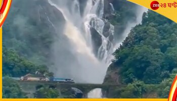Dudhsagar Falls: দুধের ভিতরে ট্রেন দেখে তাজ্জব নেটপাড়া, কী ঘটল পশ্চিমঘাট পর্বতে... 