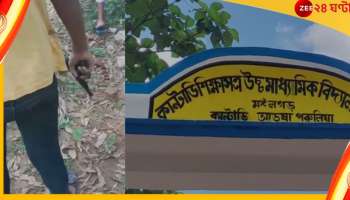  Purulia: বন্দুক হাতে স্কুলে বহিরাগত যুবক! হুলস্থূল কাণ্ড পুরুলিয়ায়