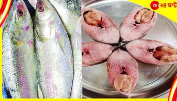 ডিম আছে কি নেই? এক চান্সে ইলিশ চিনুন